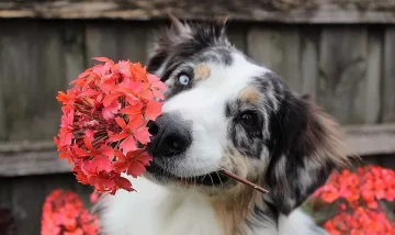 Слънчева и топла пролетна сряда