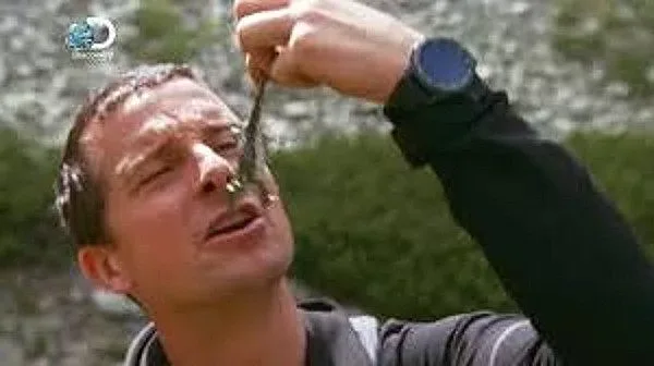 Платени 2 акта за нарушенията на Беър Грилс в Рила