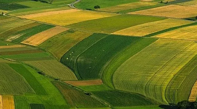 Субсидиите след 2020 г.- ябълката на раздора в земеделието