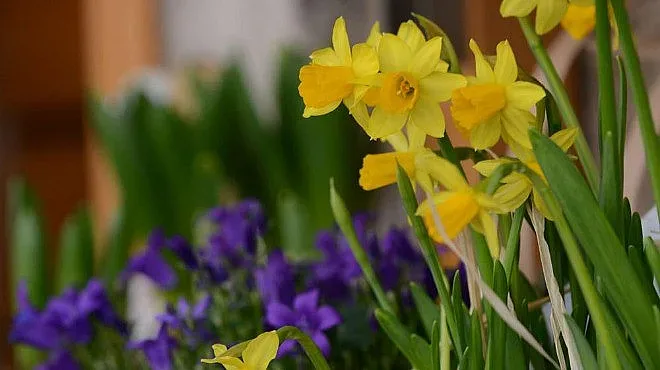 Ето какво ще е времето за великденските празници