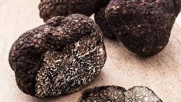 Откриха нов вид черен трюфел у нас