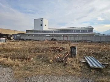 Разпродават уникален завод на изумителна цена. Има и бонус