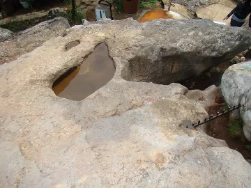 Богородична стъпка лекува и пречиства