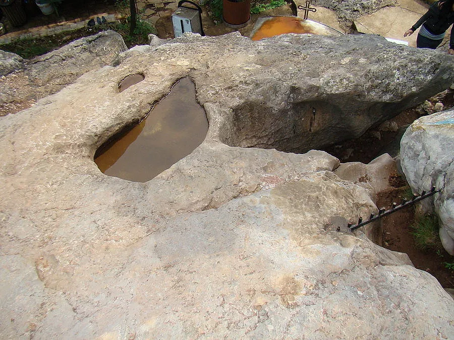 Богородична стъпка лекува и пречиства