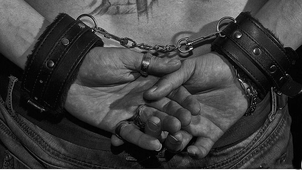 Арестуваха стопаните на нападащите ротвайлери