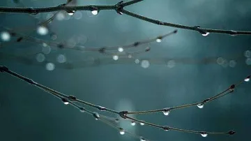 Цял ден облаци и дъжд