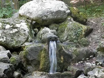 Жива вода познава грешници