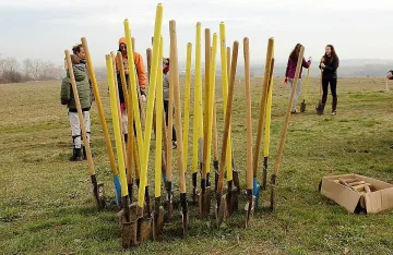 Засаждат Новата гора на София край Суходол