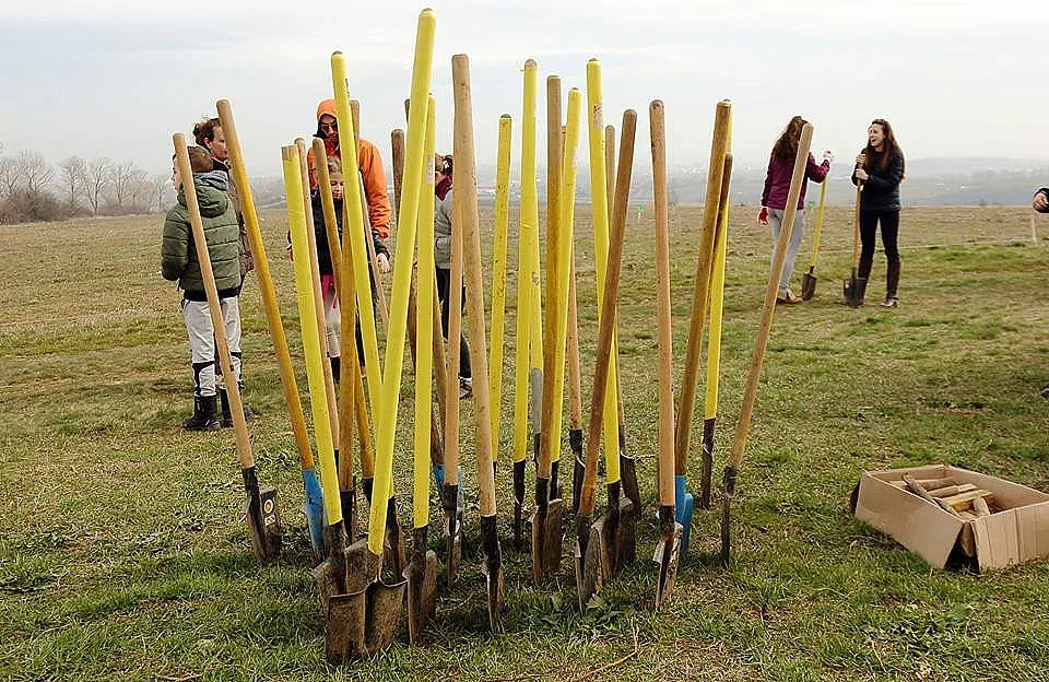 Засаждат Новата гора на София край Суходол