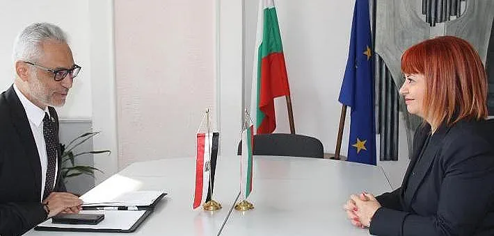 Египетски интерес към индустриална зона "Загоре"