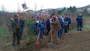 Засадиха 400 фиданки червен дъб в Кърджалийско