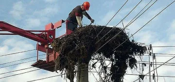 ЧЕЗ с конкурс "Електрическите стълбове - Дом на дивите птици"