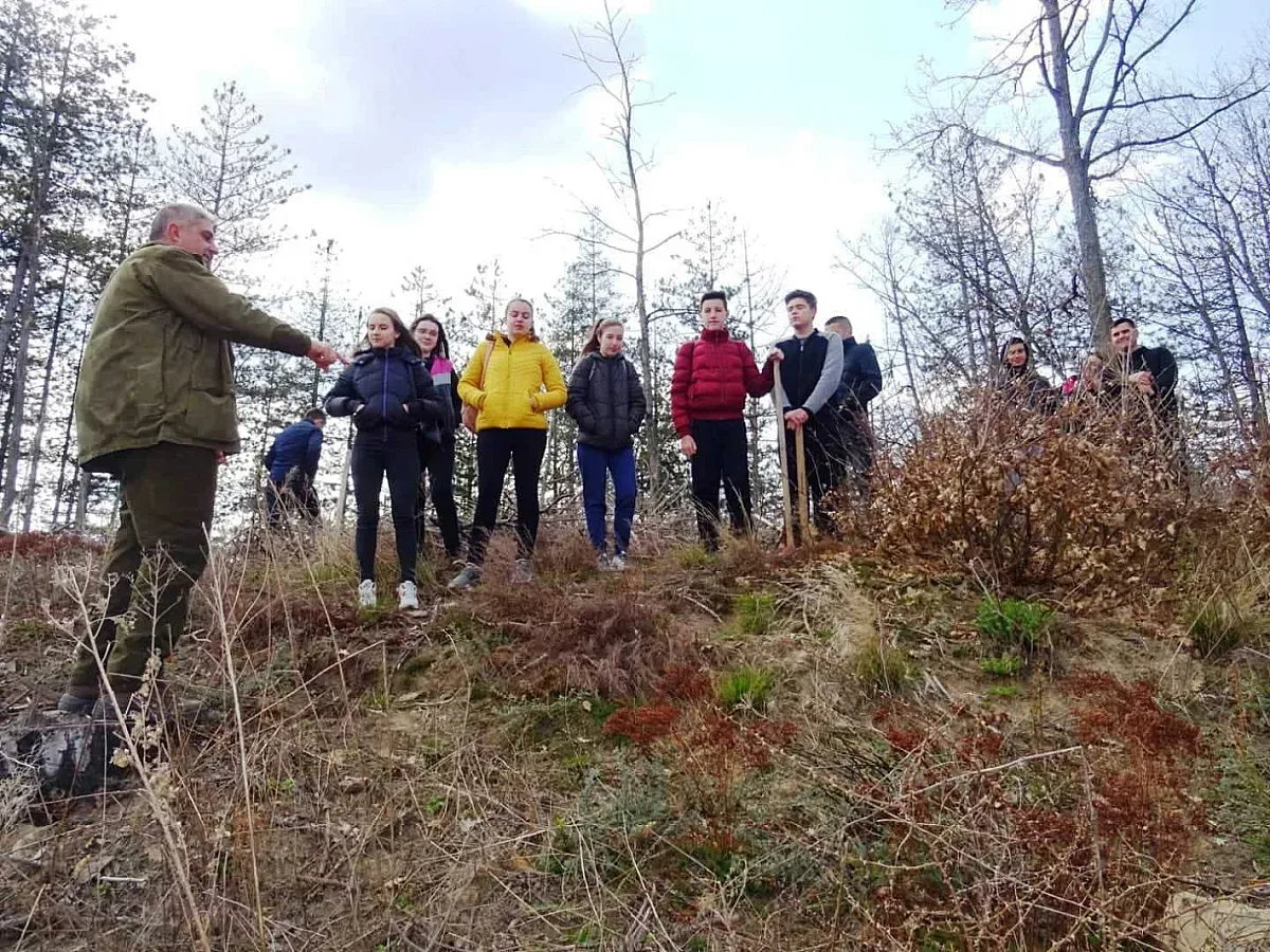 Ученици се грижат за фиданките от черен бор край Ахрянско