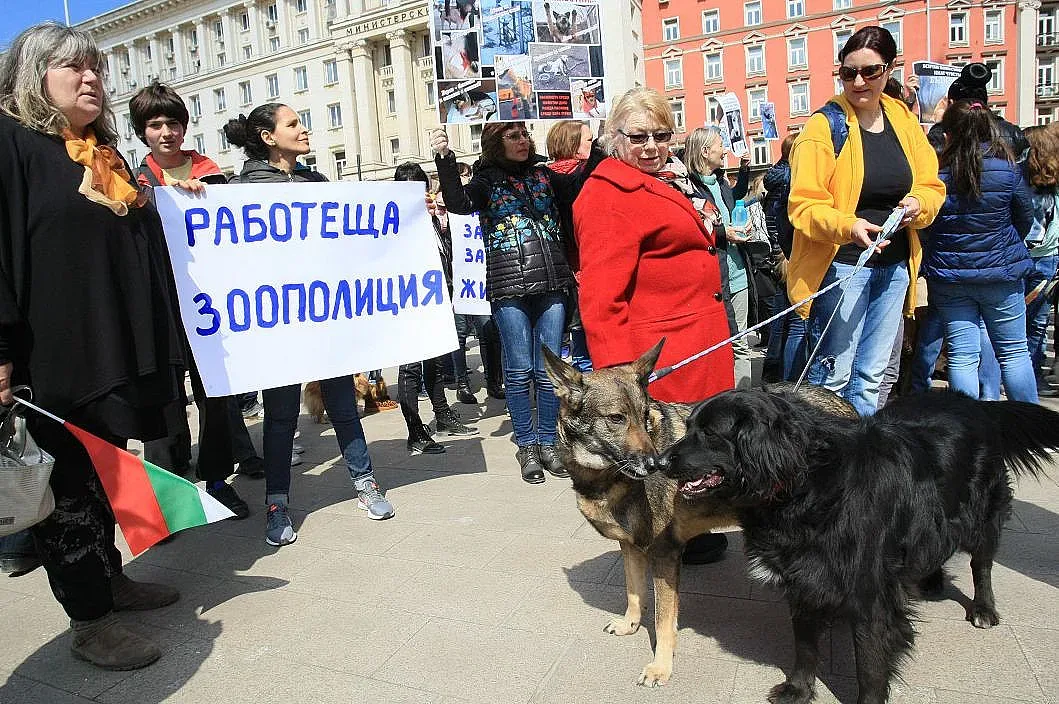 В София протестираха срещу насилието над животни