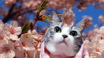 Температурите се повишават