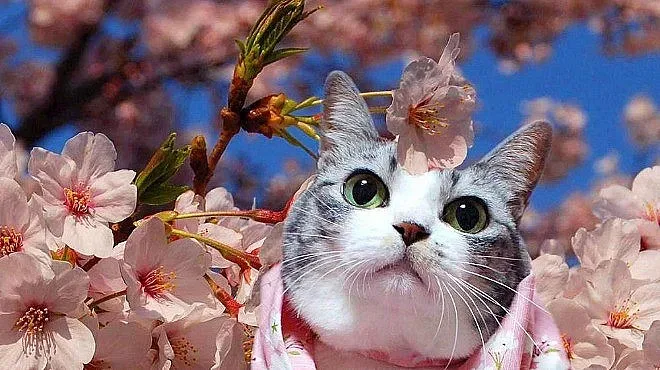 Температурите се повишават