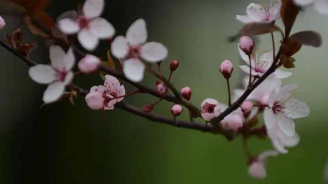 Аномалии през април - от -3 до 29 градуса
