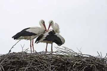 Чудо в Хасково. Знак от небето
