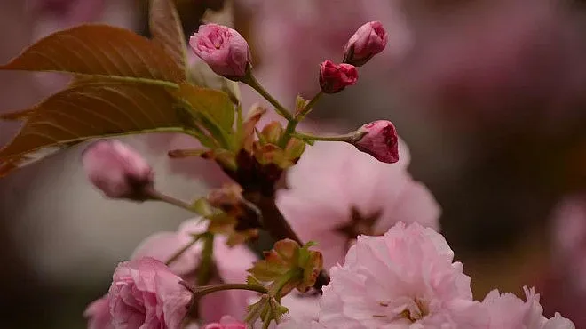 Живакът скача до 25 градуса днес