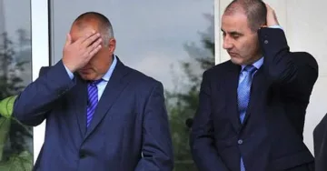 Прошка или курбан за Цветанов (Обзор)