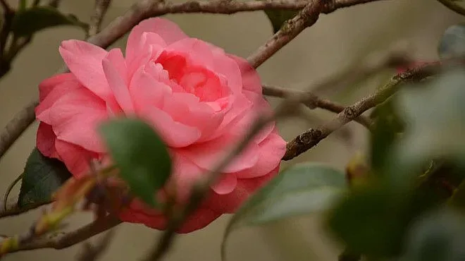 И днес ни чака топло време