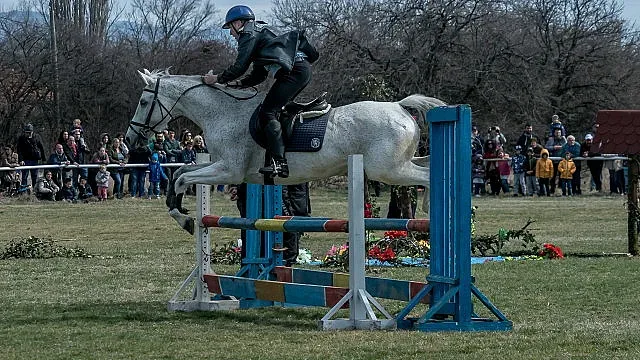 Kонни полицаи показаха майсторска езда