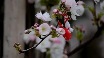 До 22 градуса ще е днес