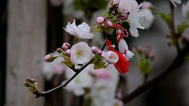 До 22 градуса ще е днес