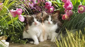 Слънцето напича до 24 градуса днес