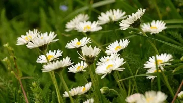 Температурите стигат до над 20 градуса днес