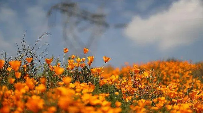 Слънчево и пролетно с леки валежи