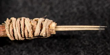 Намериха най-древната машинка за татуиране