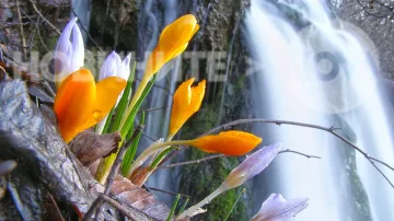 Баба Марта идва с пролетно време