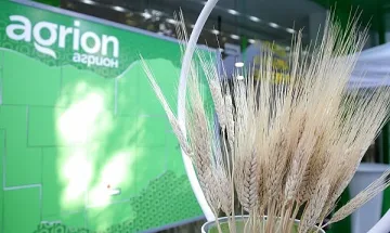 Нови парцели излизат на пазара на земеделски имоти