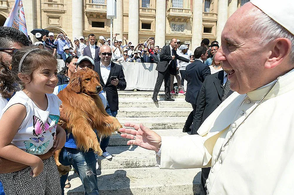 Кучетата също заслужават да отидат на небето
