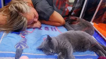 Котките "копират“ навиците на собствениците