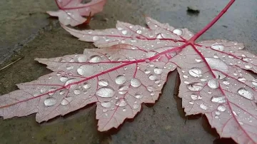 Температурите се повишават