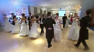 Бъз с горски плодове на Виенския бал