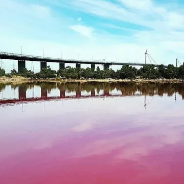 Розово езеро е новата забележителност на Мелбърн