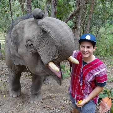 БГ фирмите трябва да инвестират в кадри и решения за киберсигурност