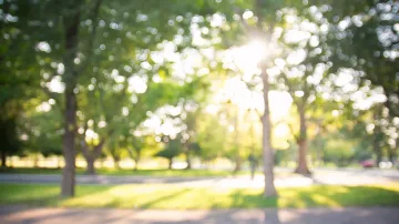 Слънчева и топла седмица