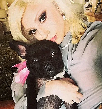 Родена звезда