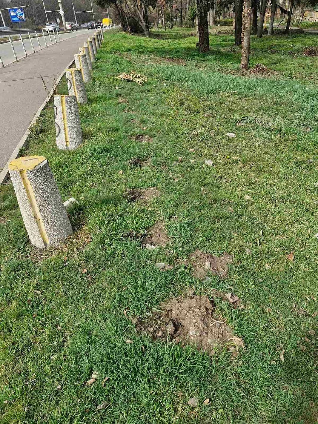 Шокиращи подробности за крадеца на фиданки. Развръзката