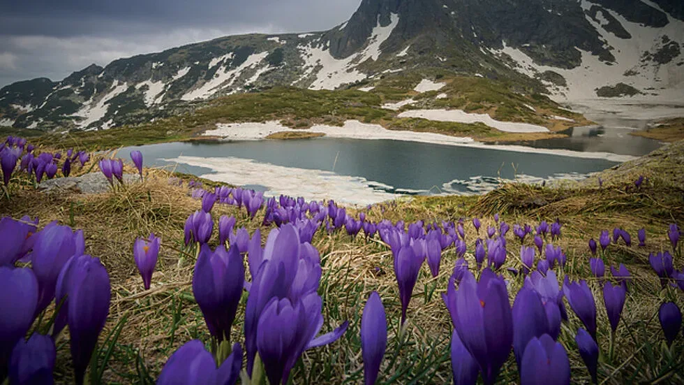 В следващите дни: Очаква ни нов пролетен полъх
