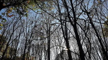 Силни ветрове почти в цяла България