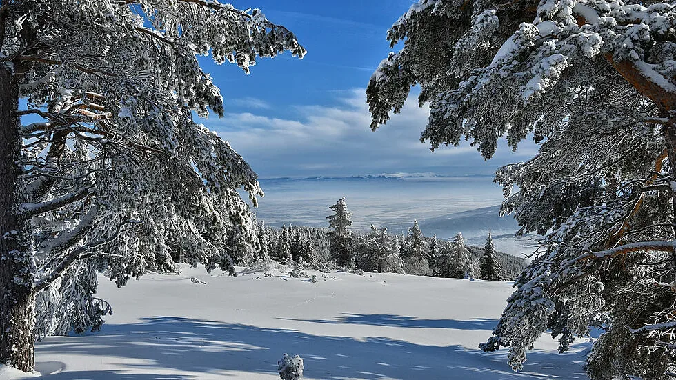 Новата седмица започва със слънце
