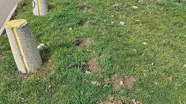 Голям куриоз. Мъж направи неподозиран обир