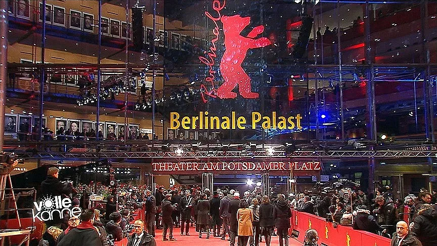 За къде са се запътили мечките