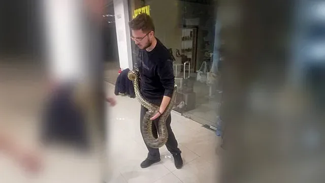 Змията беглец в мол: Шегите, които се родиха в мрежата