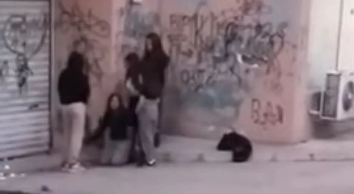 Поредно насилие над момиче от съученички! Родителите са в ужас